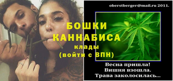 молекула духа Нягань